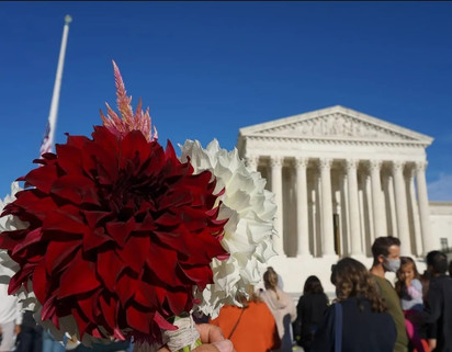 Ruth Bader Ginsburg being honor by RakeDaHoe with a Spartacus Dahlia (Dinnerplate Bloom) from Manassas, Virginia.
