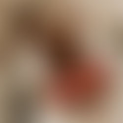 Latest Flower Trends: How to Stay on Top of the Floral game