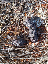 WhatsApp Image 2023-03-23 at 23.45.34.jpeg