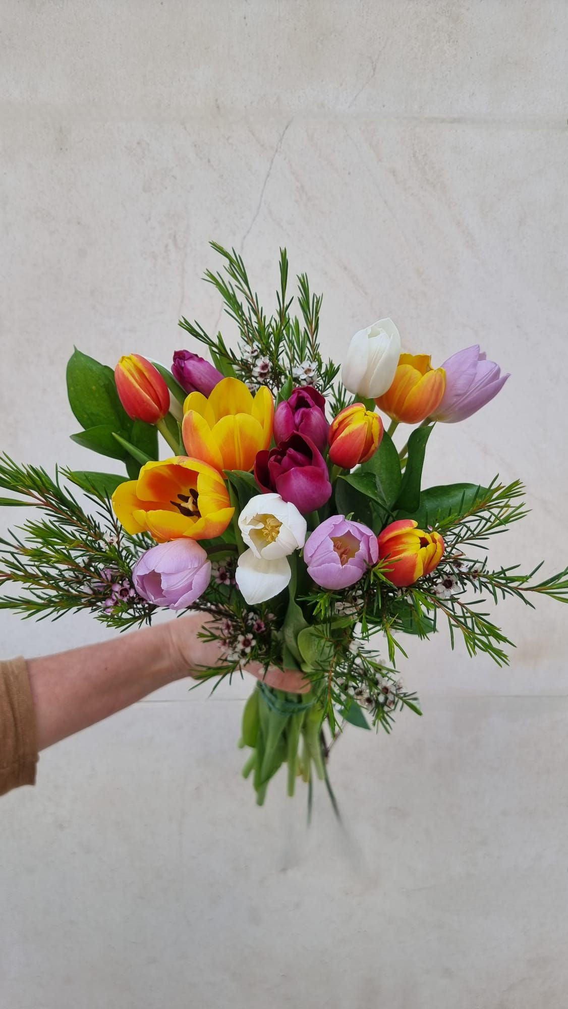 MÃE | Molho de Tulipas Coloridas