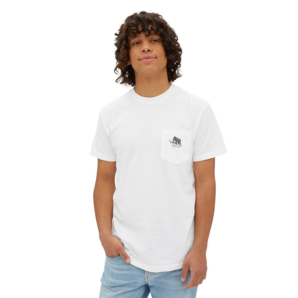 Thumbnail: Unisex Garment-Dyed Pocket T-Shirt