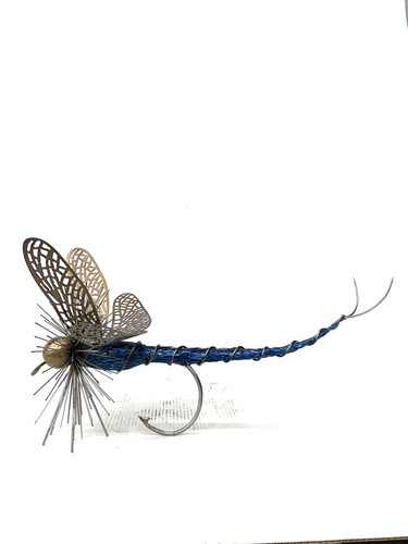 Dragon fly | Clinton Lesh