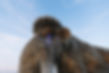 MBP_MannyBM-27.jpg