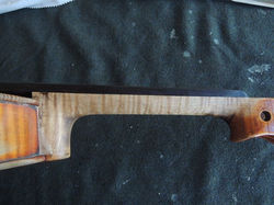 rifinitura tallone