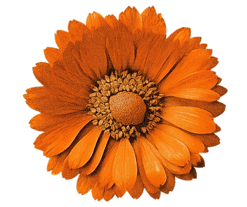 Arte Feed - HIT Janeiro Branco.png