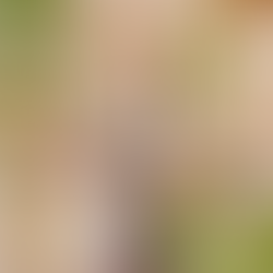 Business Finances Systems That Work