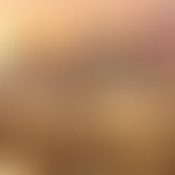 The Great Sphinx and Pyramids