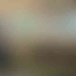 Sorrento - local artist painting