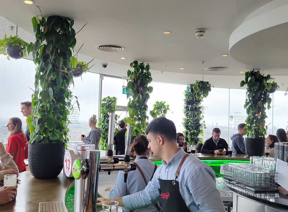Gravity Bar at the Guinness Storehouse