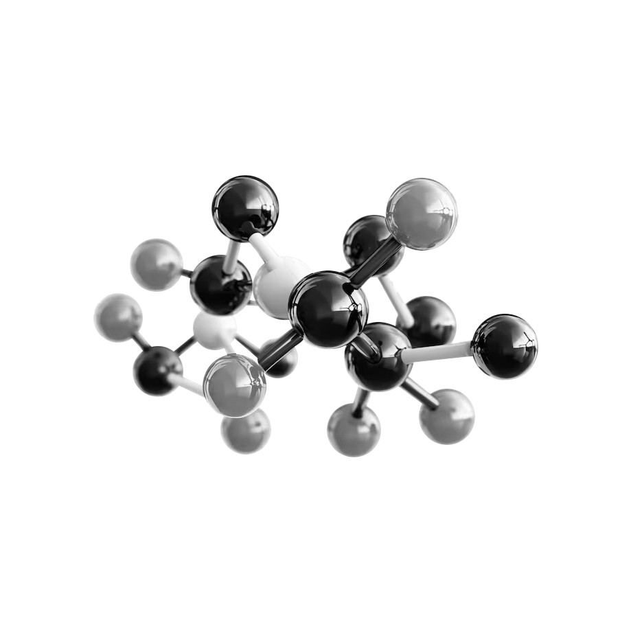 L-CARNITINIA.jpg