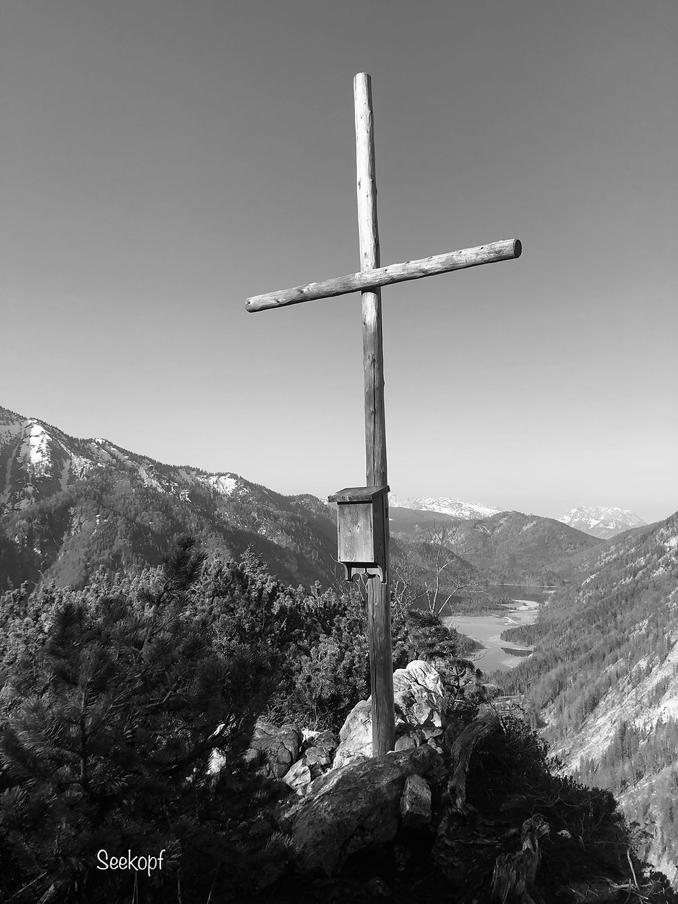 Seekopf