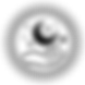 Final Cosmic Logo BW V2 PNG-01.png
