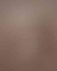 5 red flags en lecture akashique