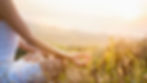 Woman meditating in a field