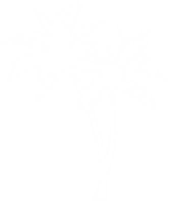 4935086_palm-trees-png-vector-palm-tree-png-png (1).png