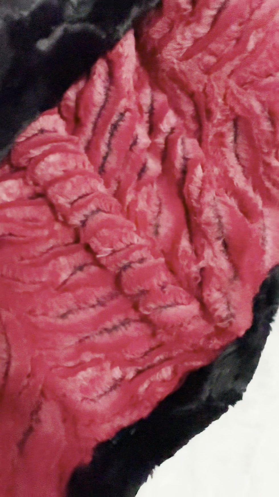 Thumbnail: Red & Black Zebra Style Adult size Minky Blanket