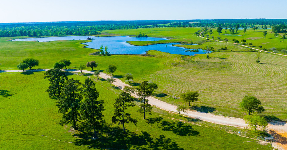 Land For Sale Lakeland Ranch