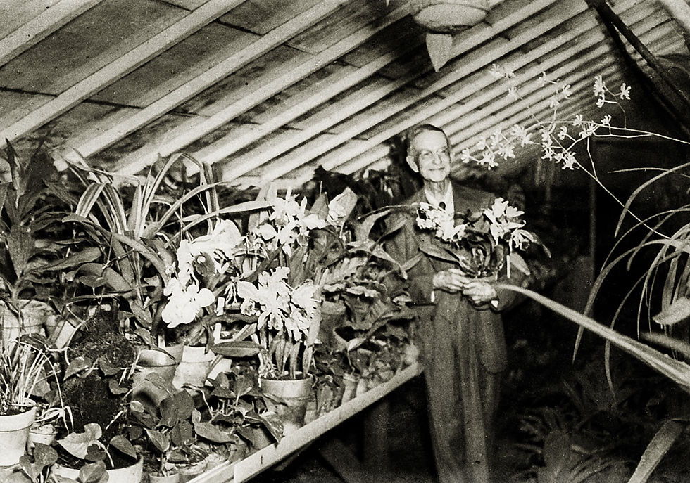 A historic photo of Ed-Teas-Sr standing in his greenhouse holding flowers that he grew