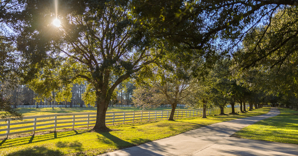 Land For Sale Lakeland Ranch