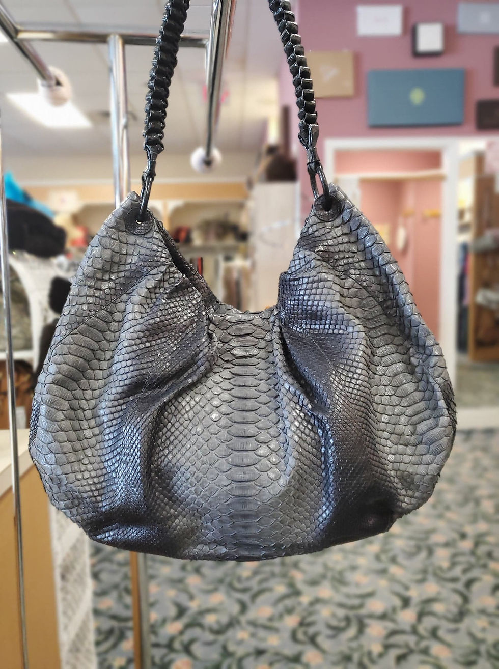 Thumbnail: Nancy Gonzalez Snakeskin Hobo