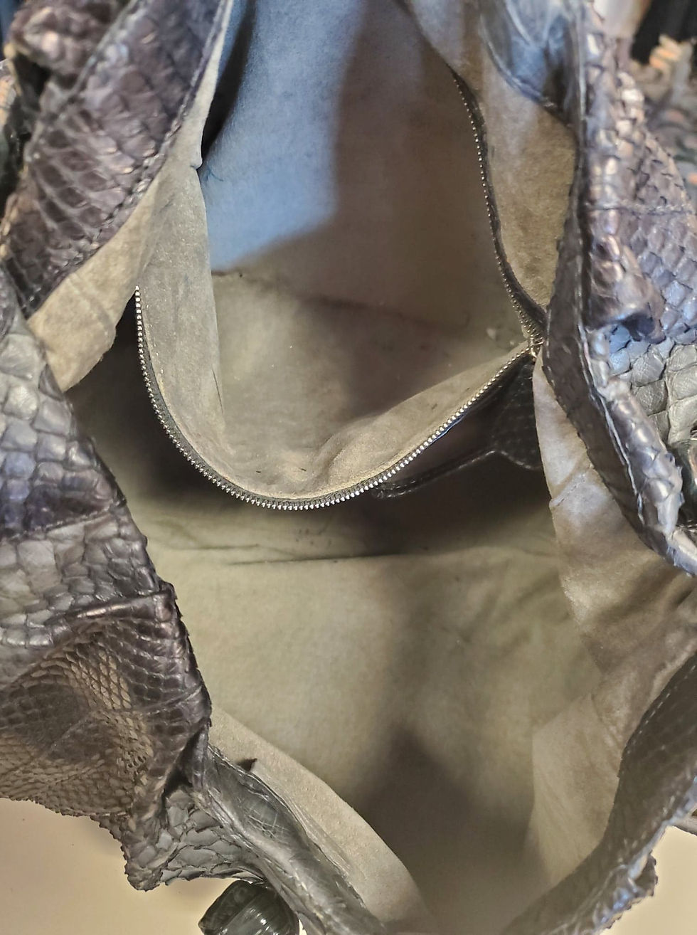 Thumbnail: Nancy Gonzalez Snakeskin Hobo