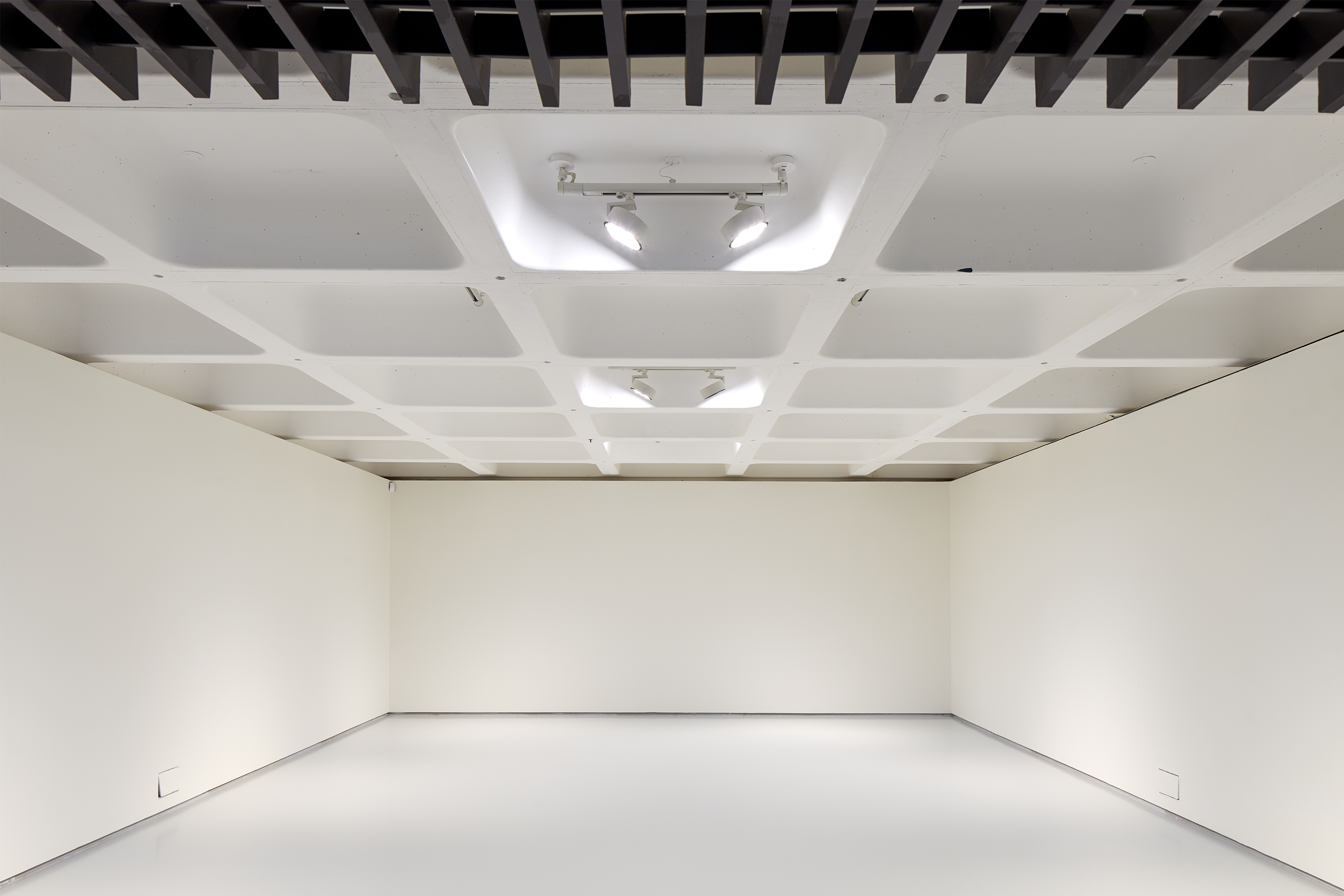 RUFFARCHITECTS — RA_Website_LGR_Project_09.jpg