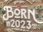 Thumbnail: Baby Birth stats sign