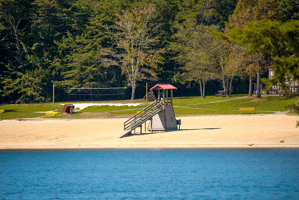 beach at Smith Mountain Lake State Park, Huddleston