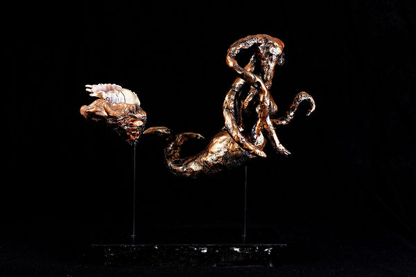 Sirene, Sirène, mermaid, Anna Wode, Sirène noire