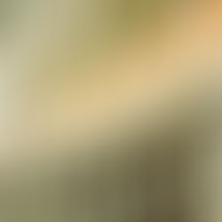 Tipos de Andaimes para Construção Civil: 4 Principais Opções