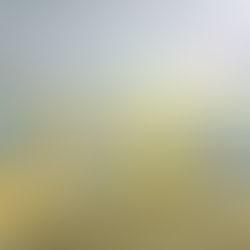 Máquinas da construção civil: equipamentos vitais na obra