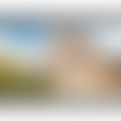 Why Brick Homes Attract Ant Colonies in Southwest MO & Northeast OK