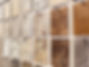 P1000223_edited.jpg