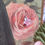 Thumbnail: Nostalgic Green Gown Lady Dress ITEM NO TCC816
