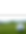 golf backaground.png