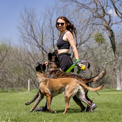 dog trainer