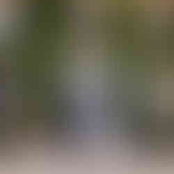 Bride and groom in front of ivy-covered house, smiling at each other. Dog at their feet. Fun and joyful scene.