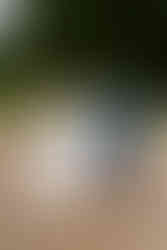 Bride walking with her son to her ceremony at Southwood Hall in Norfolk