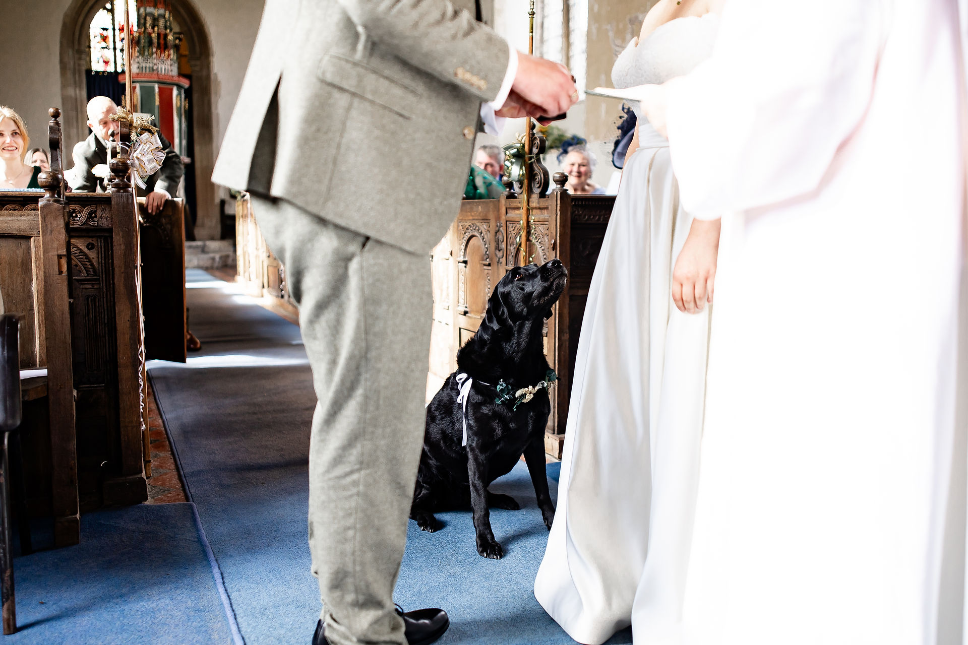 Bride and groom stand in a church aisle, a black dog with a floral collar sitting between them. Guests smile in the wooden pews at their relaxed Norfolk wedding