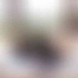 A couple smiles behind a dog with a flower wreath at a table. on their wedding day at Southwood Hall in Norfolk. Bright outdoor scenery with trees and string lights visible through windows.