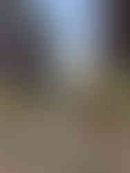 Center City Philadelphia night scene.