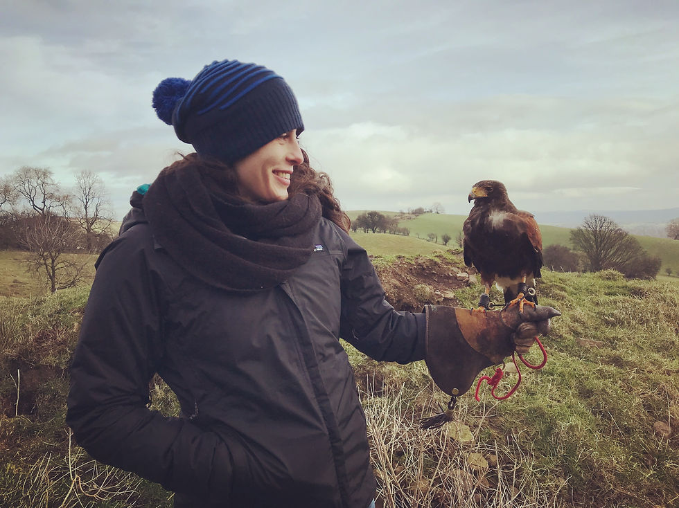 A woman hawking in the Midlands in the United Kingdom.