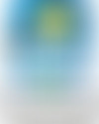 Representantes do OSBr apoiam Observatórios de Tubarão e Imbituba