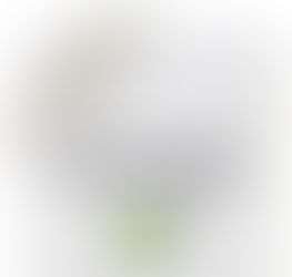 Balanço de atividades: 10/06 a 14/06