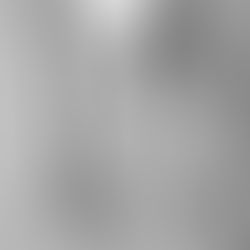 OSBr estuda a Saúde Pública em Brusque