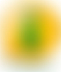 Lei de Acesso à Informação auxilia cidadãos brasileiros na busca por informações