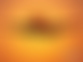 Uso de aeronaves da Aeronáutica por autoridades brasileiras