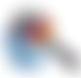 OSBr realiza pesquisa de moradia e renda salarial de Guabiruba