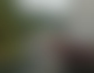 OSBr estuda crescimento no número de veículos em Brusque