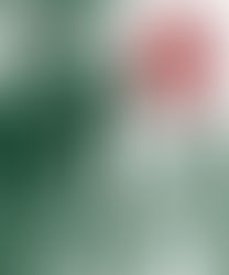 Níveis de responsabilidade na Saúde Pública